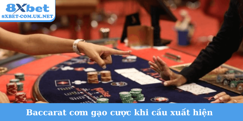 Baccarat cơm gạo cược khi cầu xuất hiện