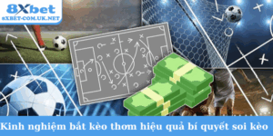 Kinh nghiệm bắt kèo thơm hiệu quả